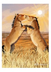 Дыхание Предуральской степи: Оренбургский платок и золото Сарматов