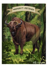 Беларусь: путь Магнатов (автобус 2)