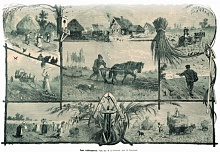 Корпоративная бизнес-игра «Обмани коробейника»